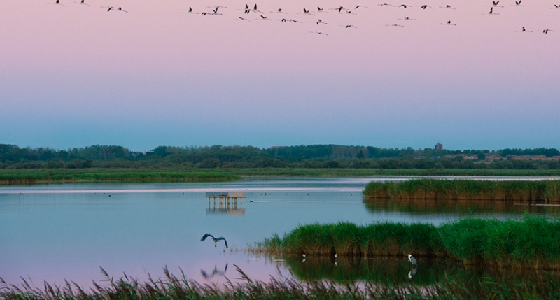 La réserve Naturelle du Bagnas au Cap d'Agde